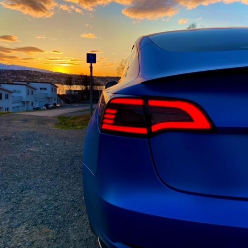 autohobby-as Eagle eye baklykter - Model 3/Y