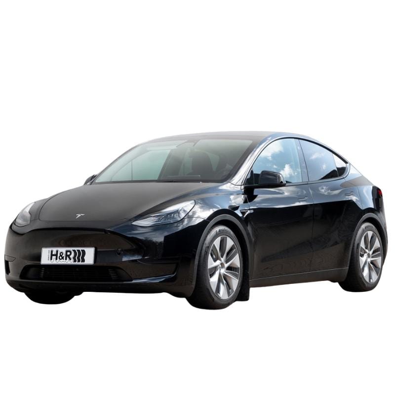 Autohobby H&R senkefjærer - Model Y