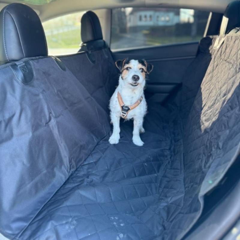 Autohobby Hundetrekk bakseter - Universal