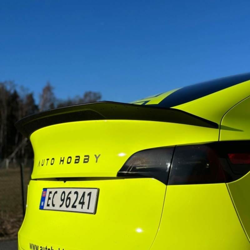 Autohobby Spoiler trackday - Model Y