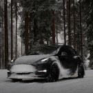 Takstativ - Model Y & 3 + Highland thumbnail