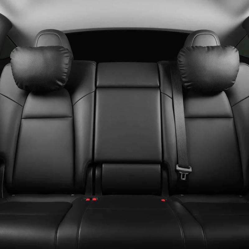 Autohobby Dupont nakkepute